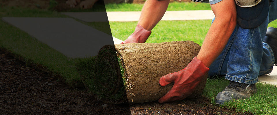 Seminole Landscapers